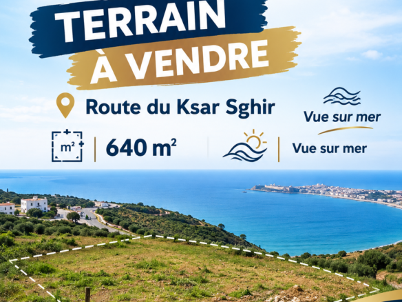 Terrain a vendre vue sur mer